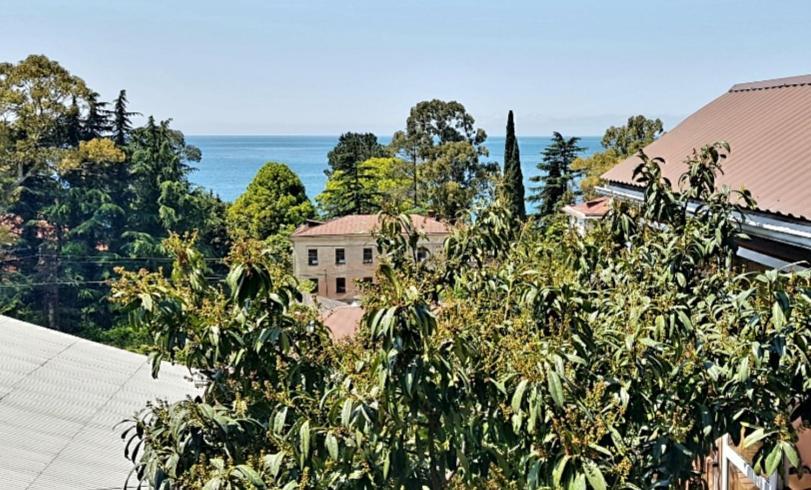 Эко-Отель Гагра Gagra Exterior photo